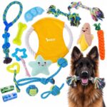 Zestaw zabawek dla psa Purlov® - 16 elementów